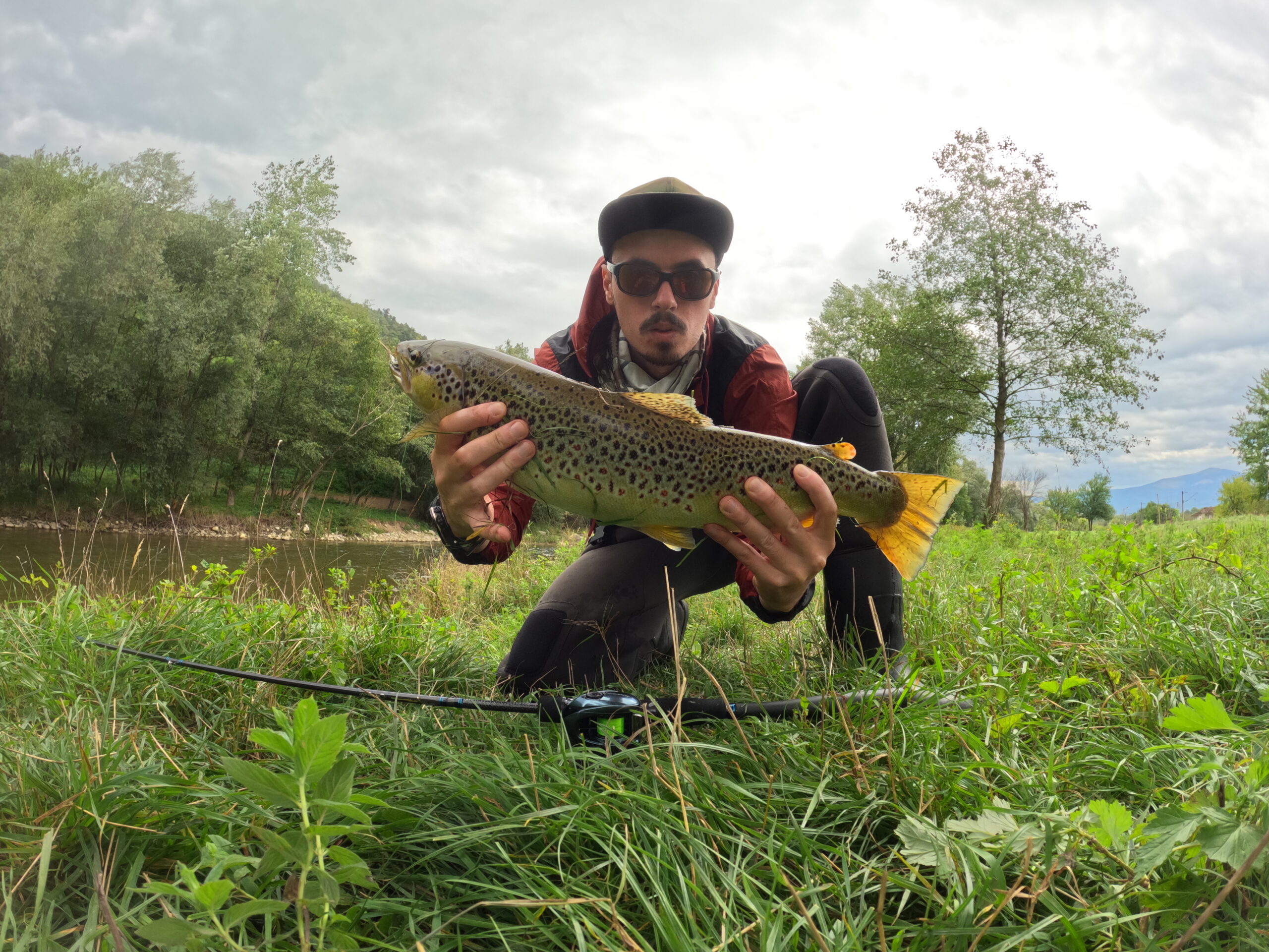 Norocul începatorului? Un exemplar mai rar de indigen.