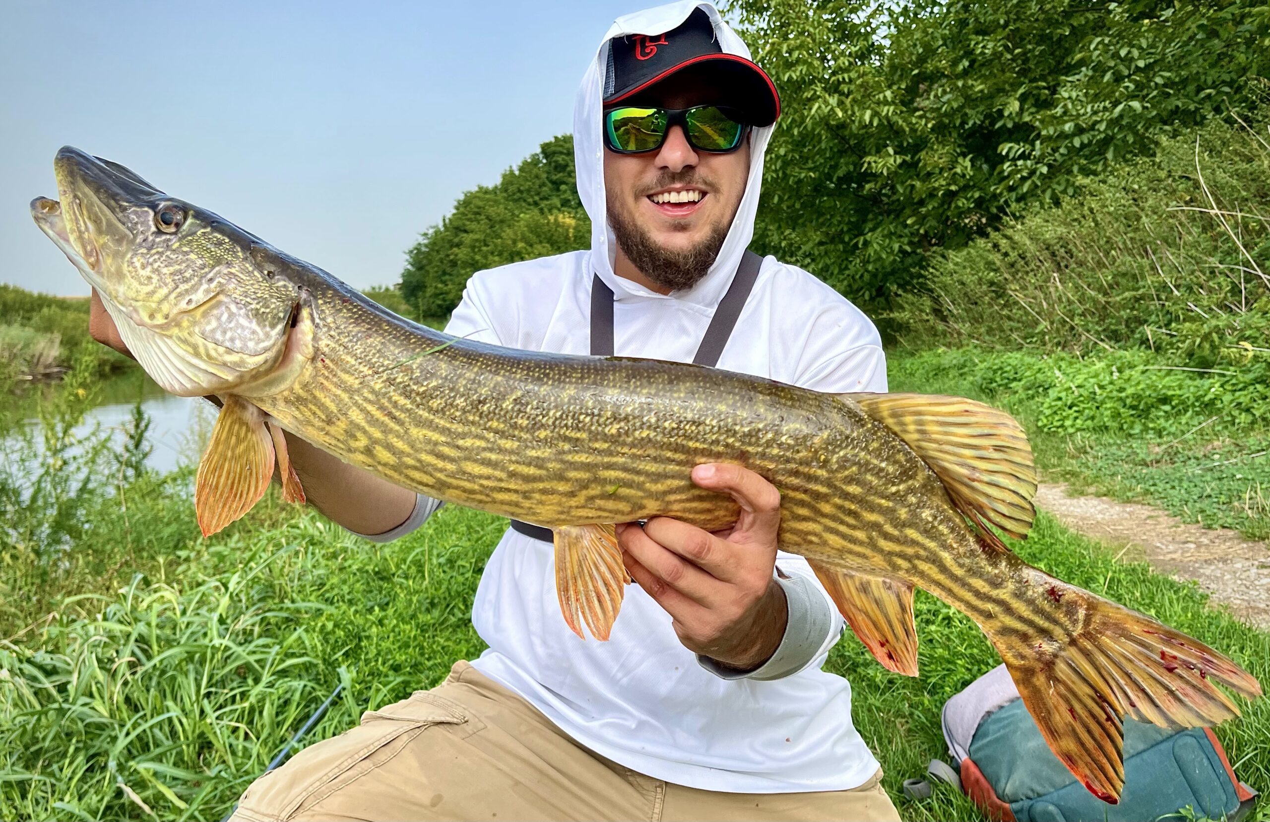 Perseverenta, temelie pentru rezultate!